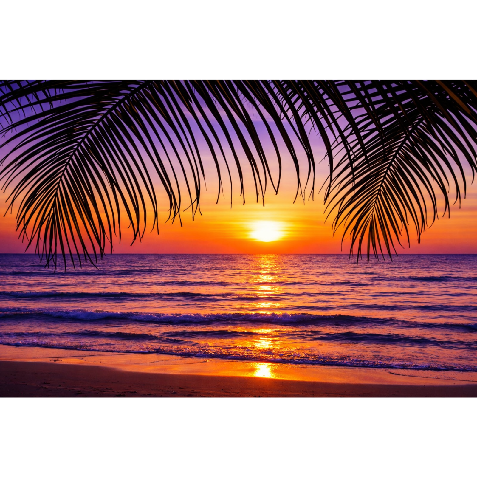 A vibrant nature landscape painting featuring dark palm tree silhouettes in the foreground against a glowing purple and orange sunset over the ocean.