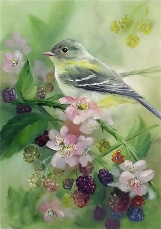 Realistic oil painting of a small grey and yellow songbird perched on a branch with pink blossoms and ripening blackberries against a soft green background.