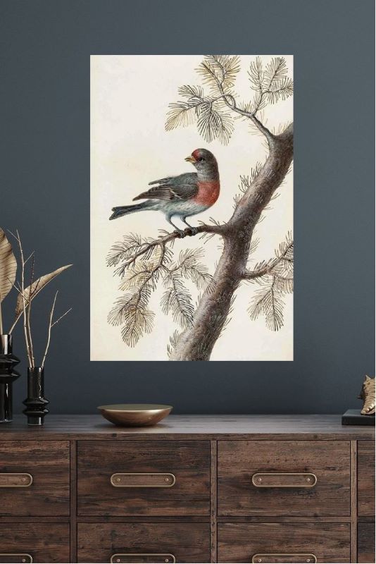 Vintage style painting of a red-breasted bird perched on a pine branch with needles against a neutral beige background, rustic wildlife wall art.