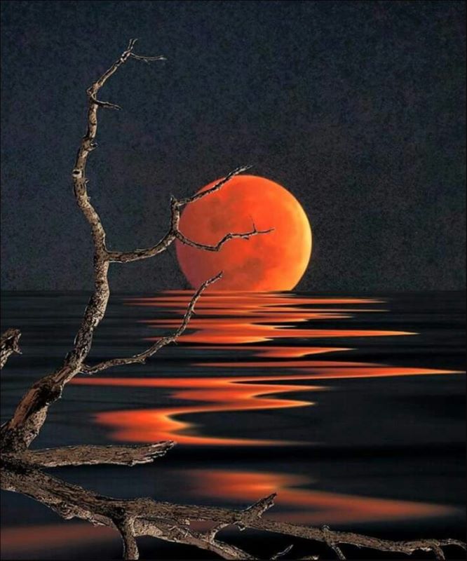 Artistic depiction of a red sun setting over water with bare branches in the foreground.