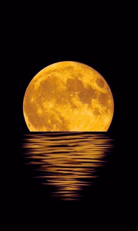 Lunar Glow on Water - Canvas Painting