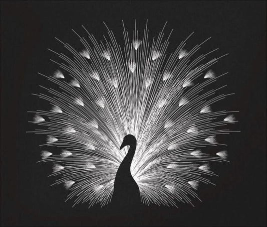 Symphony in Light - Radiant Peacock Silhouette Wall Art