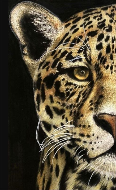 Realistic oil painting close-up of a leopard's face with piercing amber eyes and detailed spots against a black background, wildlife wall art.
